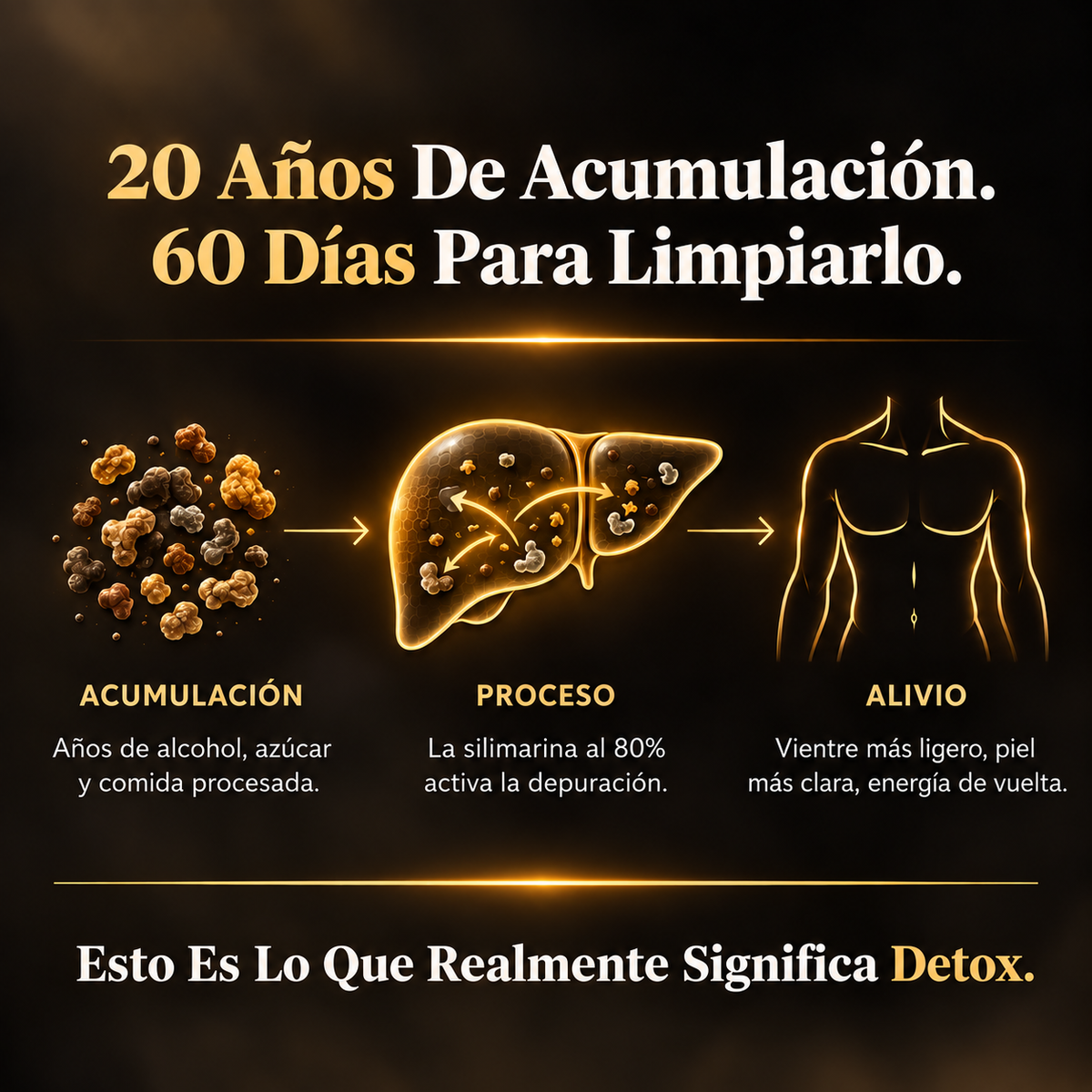 HepaMen | Salud hepática para hombres fuertes.